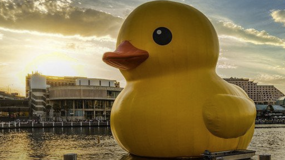 A not-quite-proof-of-concept implementation of QDD.